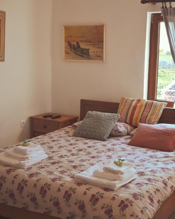 Amanet House Zasavica Appartement Buitenkant foto