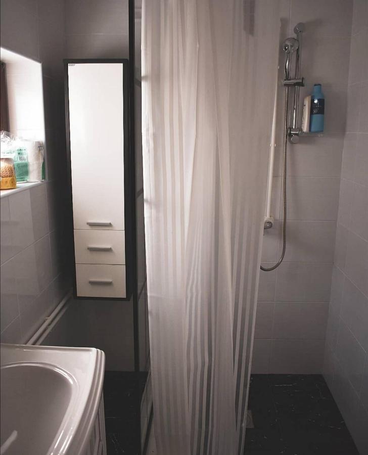Amanet House Zasavica Appartement Buitenkant foto