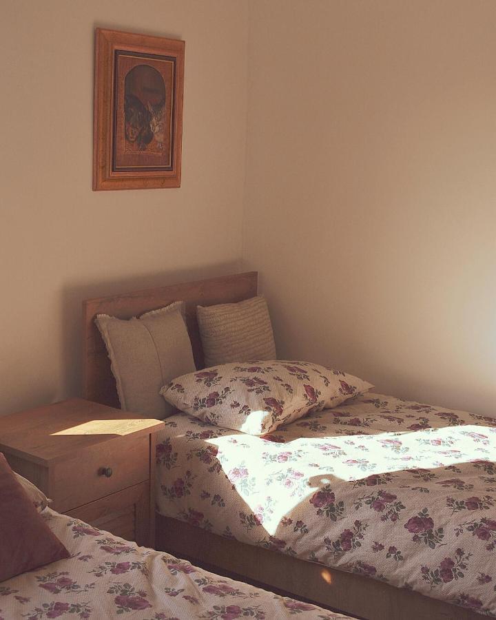 Amanet House Zasavica Appartement Buitenkant foto