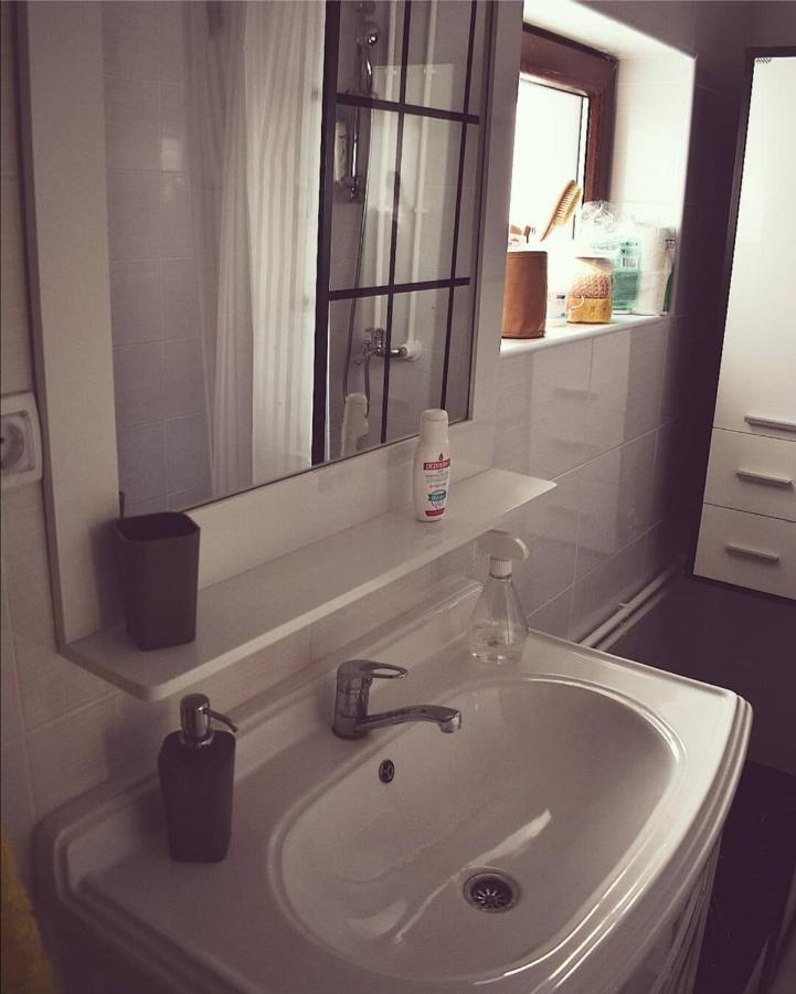 Amanet House Zasavica Appartement Buitenkant foto
