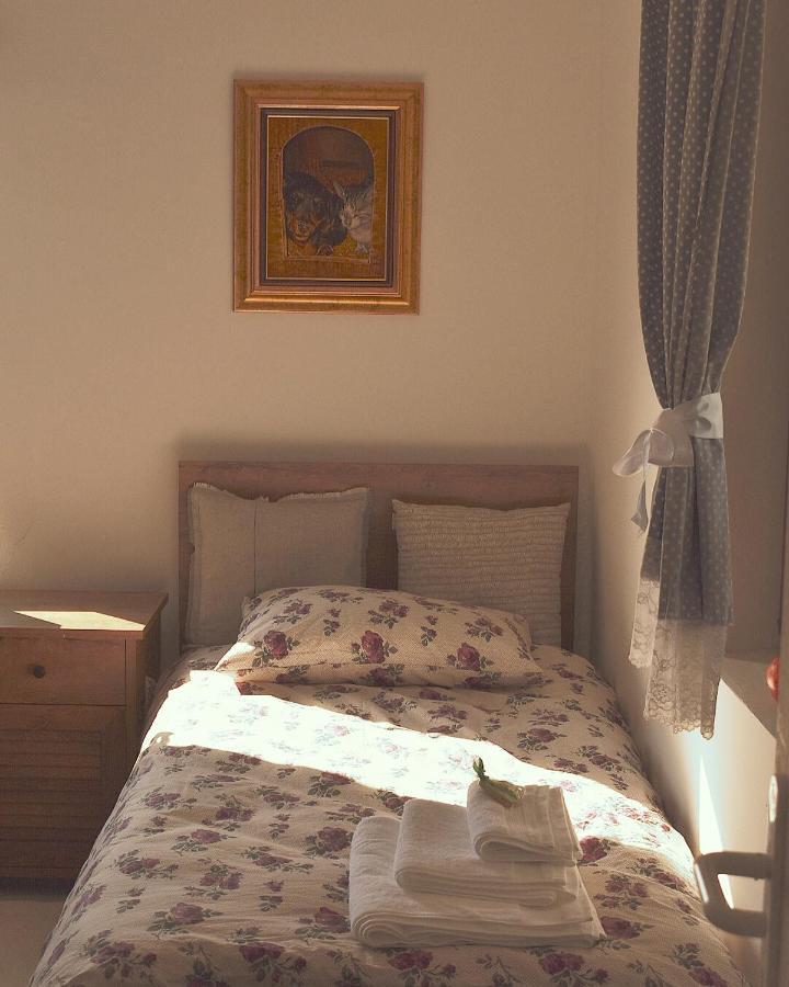 Amanet House Zasavica Appartement Buitenkant foto