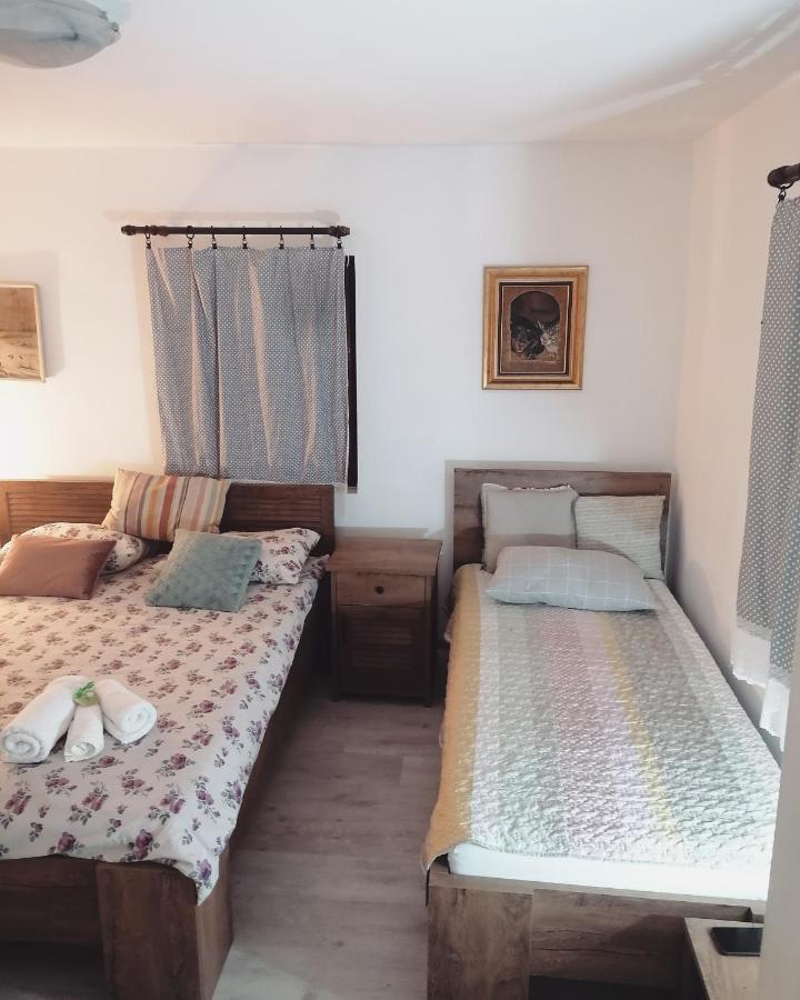 Amanet House Zasavica Appartement Buitenkant foto