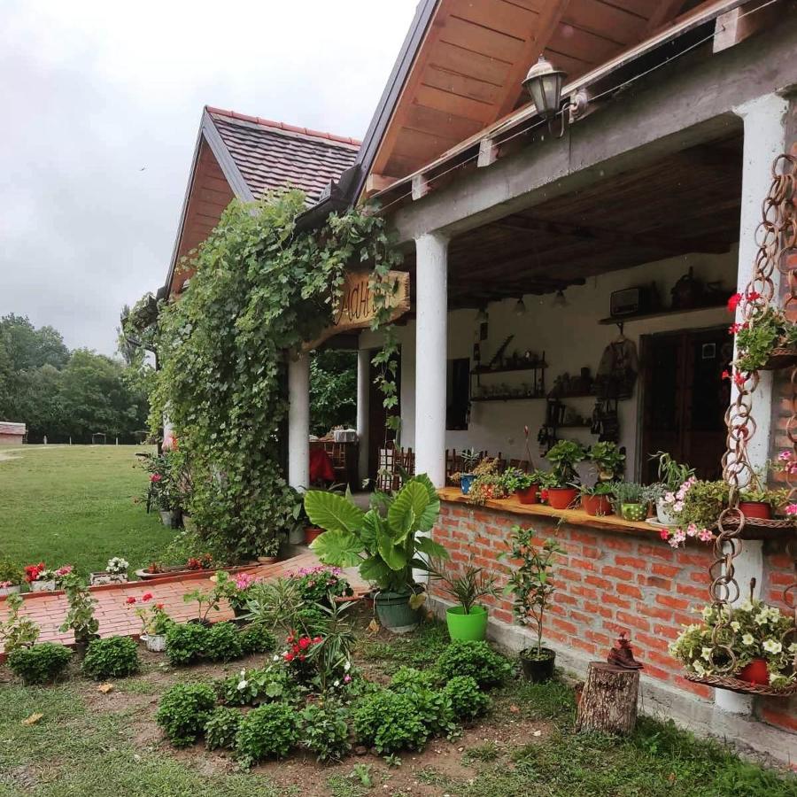 Amanet House Zasavica Appartement Buitenkant foto