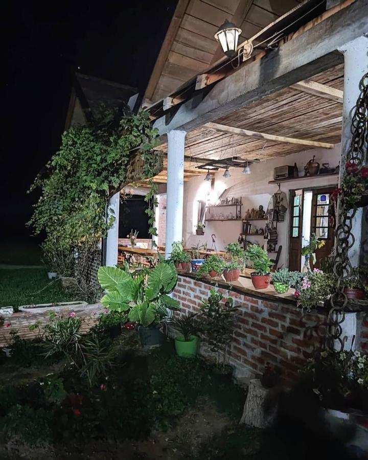 Amanet House Zasavica Appartement Buitenkant foto