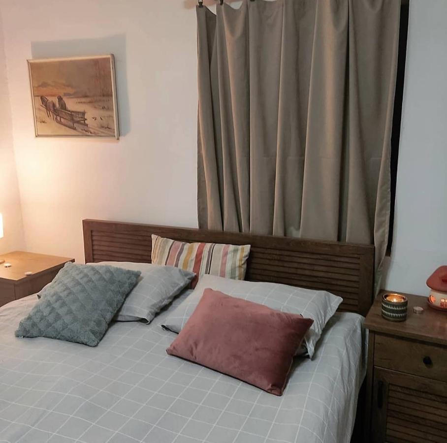 Amanet House Zasavica Appartement Buitenkant foto