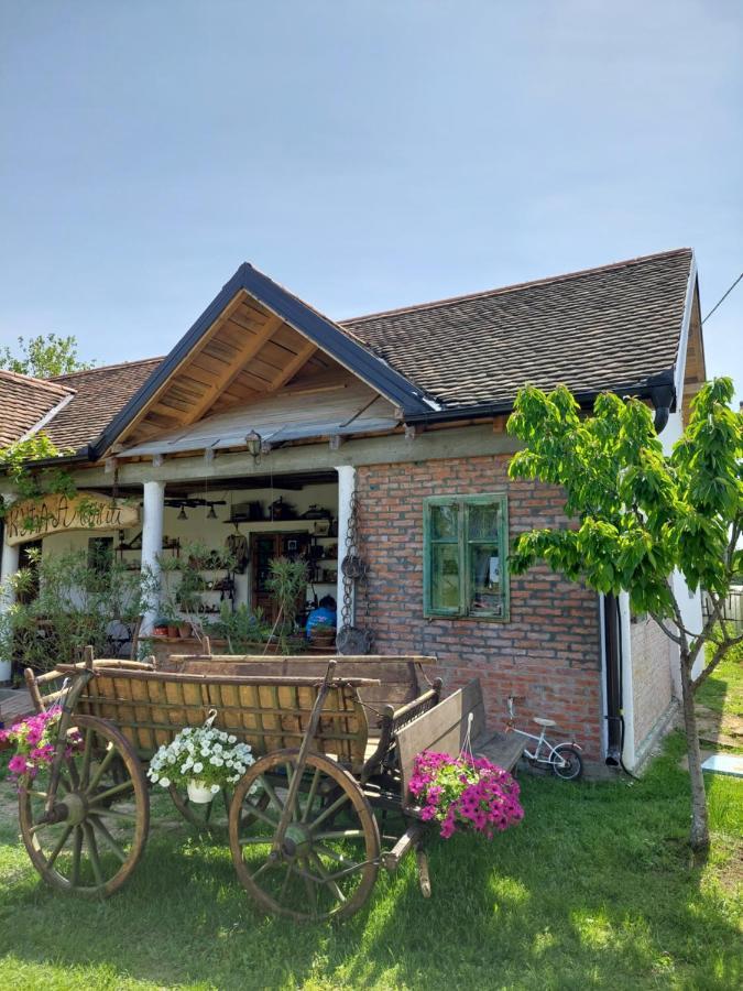 Amanet House Zasavica Appartement Buitenkant foto