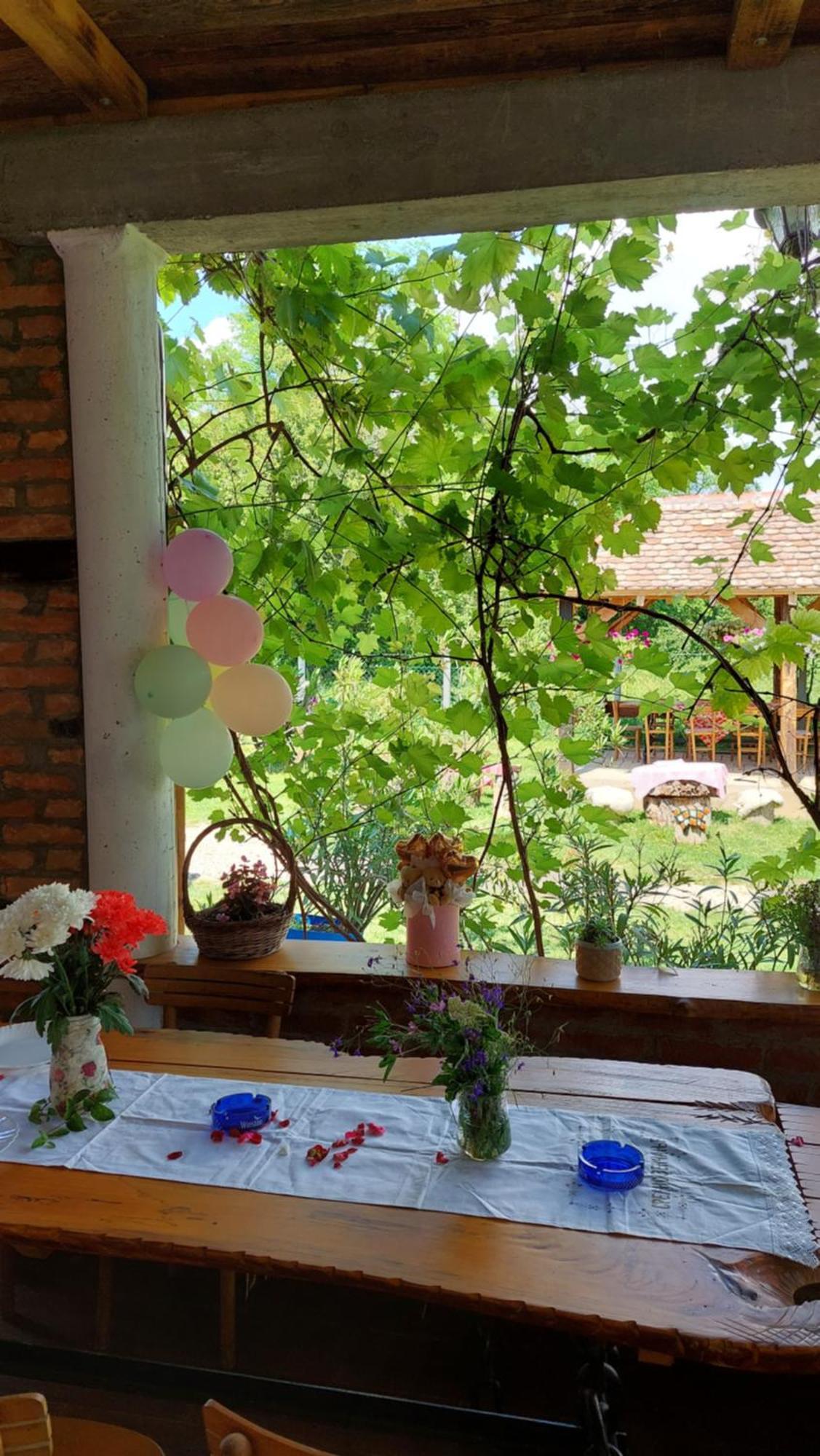 Amanet House Zasavica Appartement Buitenkant foto